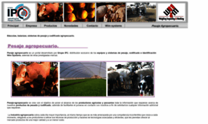 Pesaje-agropecuario.com.mx thumbnail