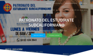 Pesbcs.org.mx thumbnail