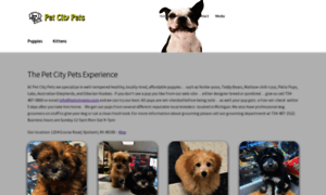 Petcitypets.com thumbnail