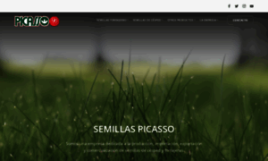 Picasso.com.ar thumbnail