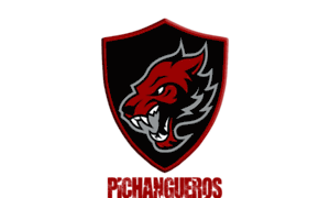 Pichanguerosfc.com thumbnail