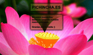 Pichincha.es thumbnail
