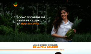 Pineapplecr.com thumbnail