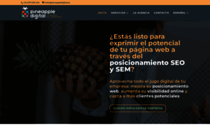 Pineappledigital.es thumbnail