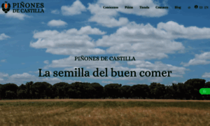 Pinonesdecastilla.com thumbnail