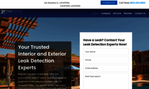 Pinpointleakdetection.net thumbnail