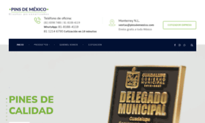 Pinsdemexico.com thumbnail