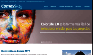 Pinturasmonterrey.mx thumbnail
