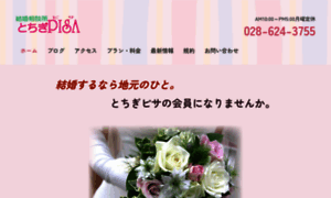 Pisa.jp thumbnail