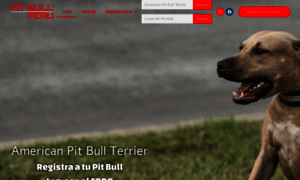 Pitbullperu.com thumbnail