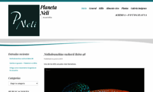 Planeta-neli.es thumbnail