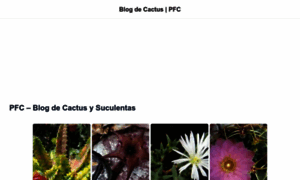 Plantas-flores-cactus.com thumbnail