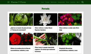 Plantasyflores.pro thumbnail