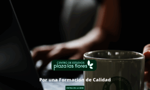 Plazadelasflores.com thumbnail