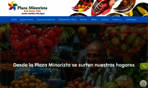 Plazaminorista.com thumbnail