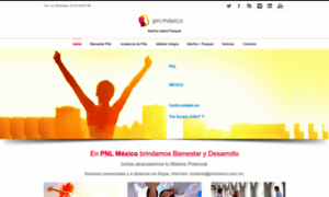 Pnlmexico.com.mx thumbnail