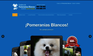 Pomeraniasblanco.com thumbnail