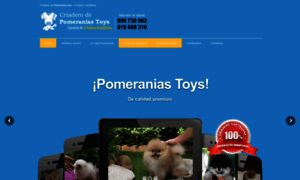 Pomeraniatoy.com thumbnail