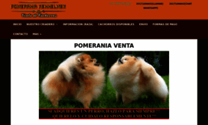 Pomeraniaventa.com thumbnail