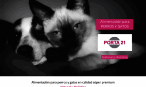 Porta21.es thumbnail