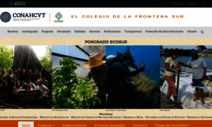 Posgrado.ecosur.mx thumbnail