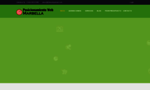 Posicionamiento-web-marbella.com thumbnail