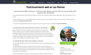 Posicionamientoweblaspalmas.com.es thumbnail