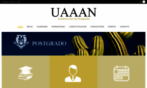 Postgrado.uaaan.edu.mx thumbnail