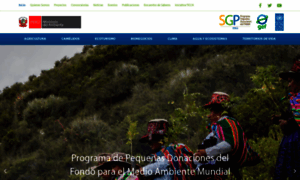 Ppdperu.org thumbnail