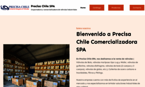 Precisachile.cl thumbnail