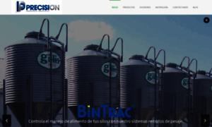 Precision.com.ec thumbnail