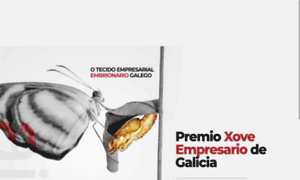 Premioajegalicia.es thumbnail