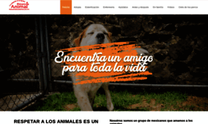 Presenciaanimal.org.mx thumbnail