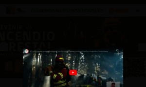 Prevencionincendiosforestales.cl thumbnail