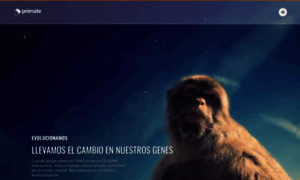 Primate.es thumbnail