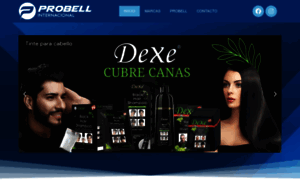 Probell-int.com thumbnail