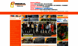 Procim.cl thumbnail