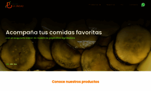Productoslaunidad.com thumbnail