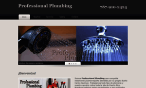 Professionalplumbingpr.com thumbnail
