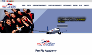 Proflyacademy.com thumbnail