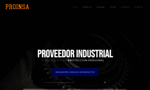 Proinsasafety.com.mx thumbnail