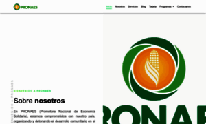 Pronaes.com thumbnail
