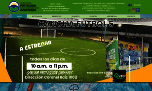 Proteccionchoferes.org.uy thumbnail