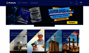 Protectopinturas.com.ni thumbnail