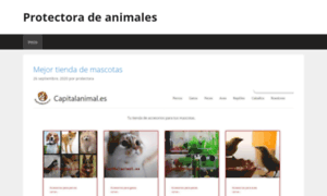 Protectoraanimaleshuelva.es thumbnail