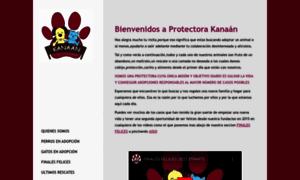 Protectorakanaan.com thumbnail