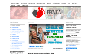 Providahn.org thumbnail