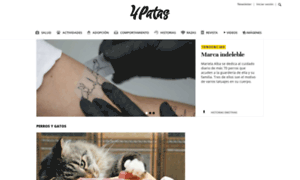 Pruebas.jetset.com.co thumbnail