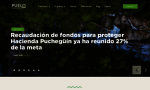 Puelopatagonia.cl thumbnail