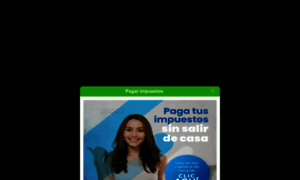 Puertocarreno-vichada.gov.co thumbnail